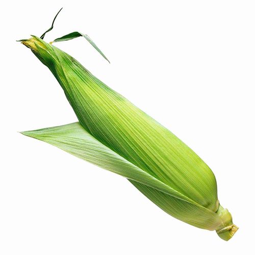 最新食材配送价格表