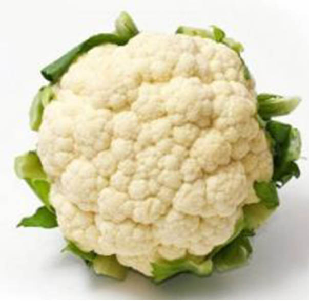白花菜.jpg